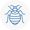 Bed Bug Extermination In Ashbourne